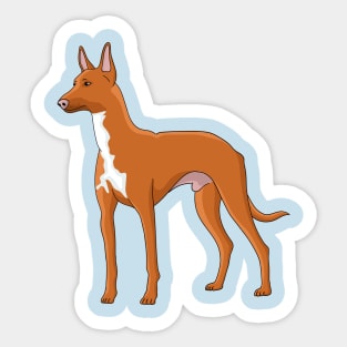 Pharaoh hound dog cartoon illustration Sticker